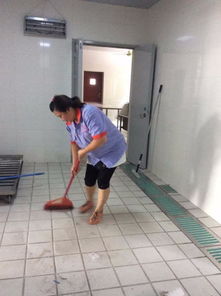 圖 上海專業(yè)工程開荒保潔 日常保潔 地毯清洗 工廠保潔外包等服務(wù) 上海保潔清洗